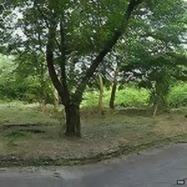 Bright 800sqm Land with Water Rights in Nasu, Tochigi - Thumbnail 2