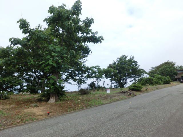 Land for Sale in Kashiwazaki, Niigata - 1,572 sqm - Thumbnail 3