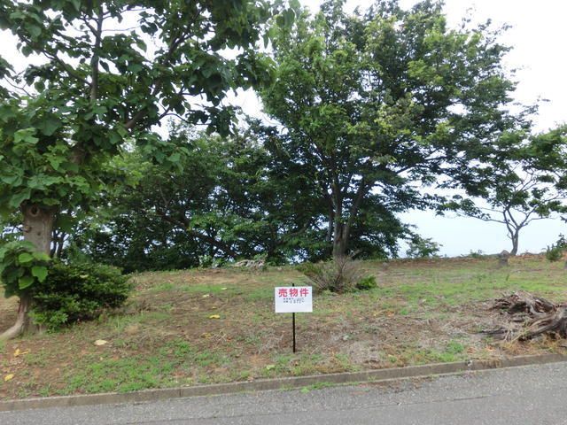 Land for Sale in Kashiwazaki, Niigata - 1,572 sqm - Thumbnail 4