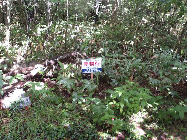 Land for Sale in Hakodate, Hokkaido - 331 sqm - Thumbnail 2
