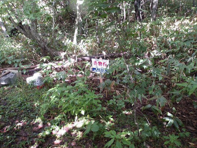 Land for Sale in Hakodate, Hokkaido - 331 sqm - Thumbnail 3