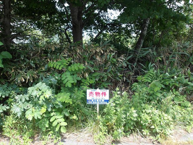 Land for Sale in Nanae Town, Hokkaido - 213.08 sqm Plot - Thumbnail 2