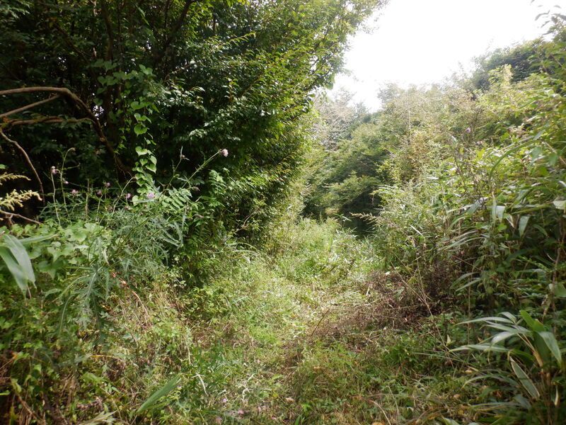Land for Sale in Fujikawaguchiko, Yamanashi - 496 sqm Plot - Thumbnail 2