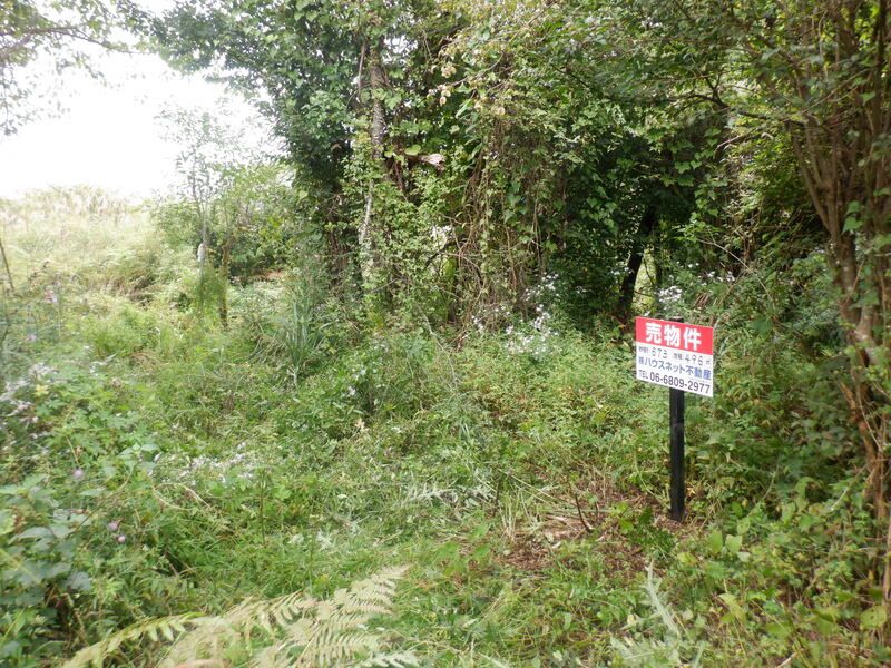 Land for Sale in Fujikawaguchiko, Yamanashi - 496 sqm Plot - Thumbnail 3