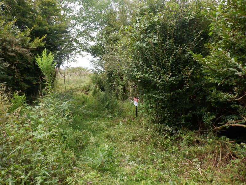 Land for Sale in Fujikawaguchiko, Yamanashi - 496 sqm Plot - Thumbnail 4