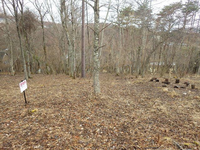 Land for Sale in Yamanakako Village, Yamanashi | 589 sqm Plot - Thumbnail 4