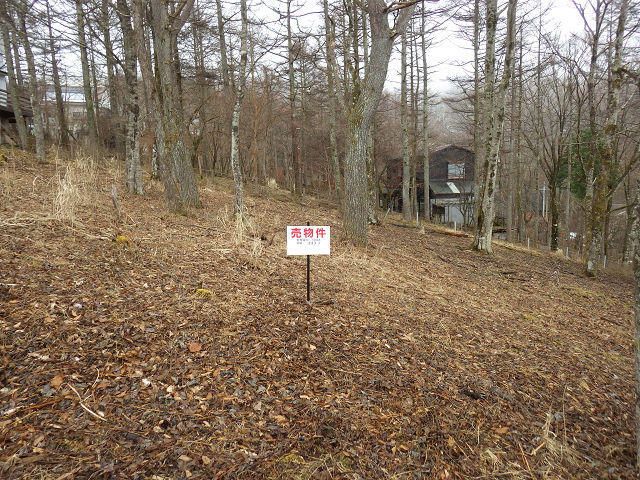 Land for Sale in Yamanakako Village, Yamanashi | 589 sqm Plot - Thumbnail 3