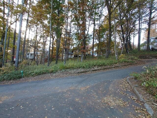 Land for Sale in Hokuto City, Yamanashi - 321 sqm Corner Plot - Thumbnail 2