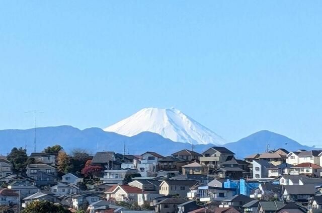 84 sq m 3SLDK Apartment for Sale in Tama City, Tokyo - Thumbnail 4