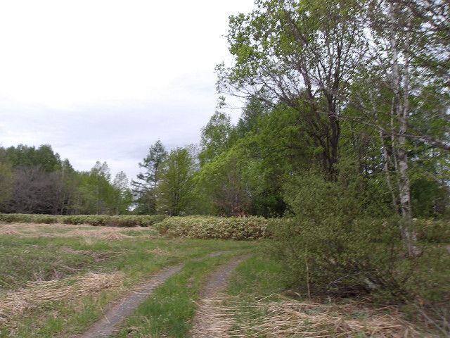 Land for Sale in Asahikawa, Hokkaido - 214 sqm - Thumbnail 2