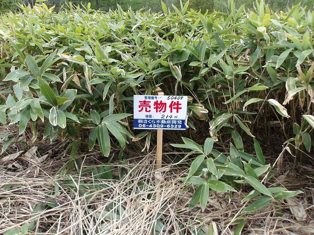 Land for Sale in Asahikawa, Hokkaido - 214 sqm - Thumbnail 4