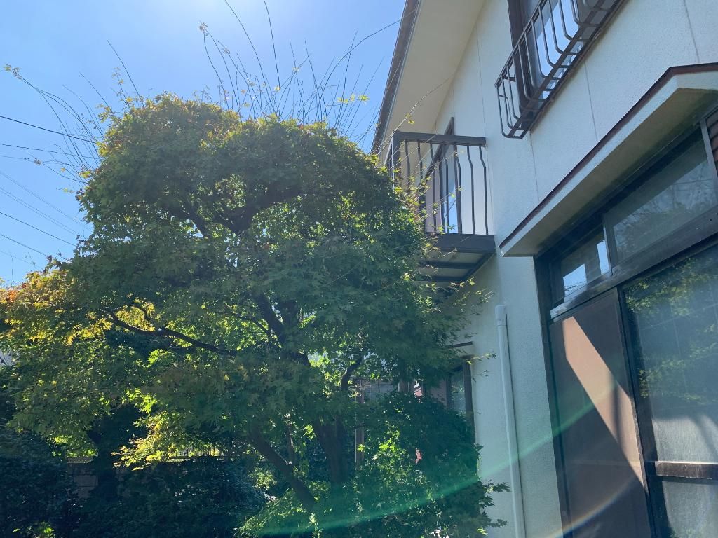 4DK Detached House for Renovation in Kagoshima's Mureoka - Image 10