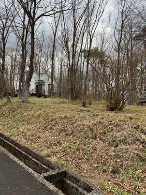 400 sqm Land for Sale in Nasu Town, Tochigi - Thumbnail 2