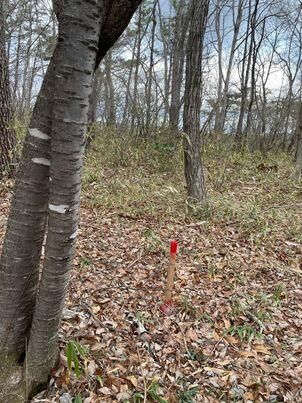 400 sqm Land for Sale in Nasu Town, Tochigi - Thumbnail 4