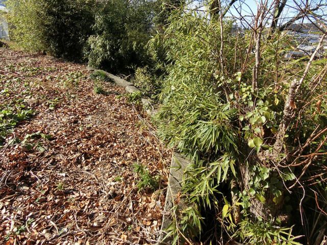 Land for Sale in Aizuwakamatsu, Fukushima - 362.65 sqm - Thumbnail 4