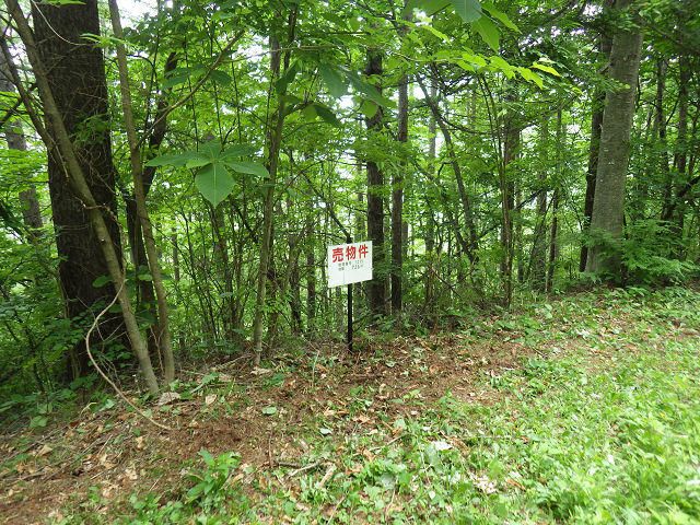 736 sqm Land for Sale in Kitakaruizawa, Naganohara-machi, Gunma - Thumbnail 4