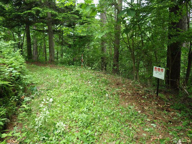736 sqm Land for Sale in Kitakaruizawa, Naganohara-machi, Gunma - Thumbnail 3