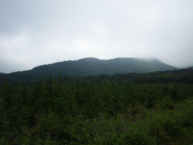 736 sqm Land for Sale in Kitakaruizawa, Naganohara-machi, Gunma - Thumbnail 2