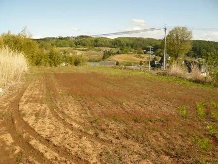 Land Plot with Views of Mount Asama in Saku, Nagano - Thumbnail 4