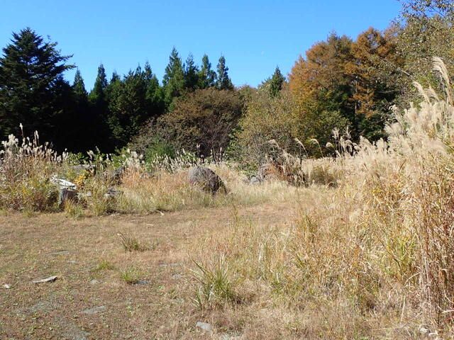 Land for Sale in Oshino Village, Yamanashi with Mount Fuji Views - Thumbnail 4