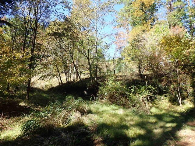 Land for Sale in Oshino Village, Yamanashi with Mount Fuji Views - Thumbnail 2