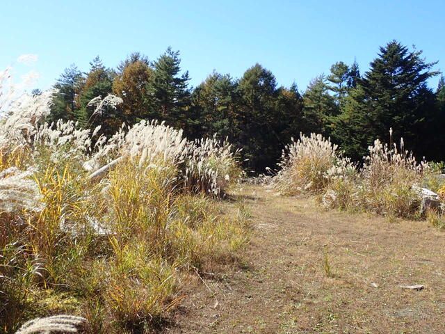 Land for Sale in Oshino Village, Yamanashi with Mount Fuji Views - Thumbnail 3