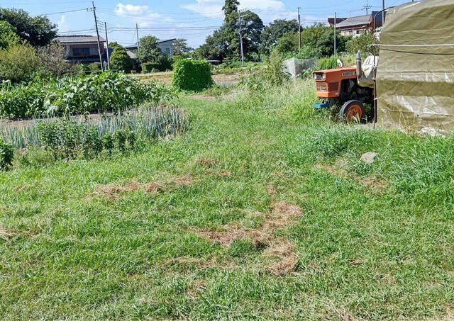 Agricultural Land for Sale in Toride, Ibaraki - 1,054 sqm - Thumbnail 4