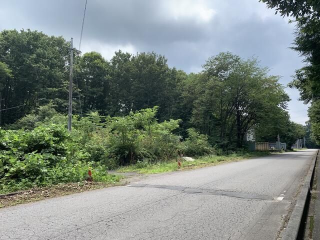 Land for Sale in Nikko, Tochigi - 280 sqm Residential Plot - Thumbnail 3