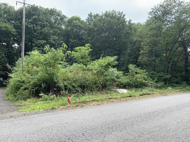 Land for Sale in Nikko, Tochigi - 280 sqm Residential Plot - Thumbnail 2