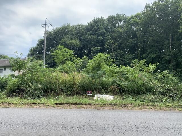 Land for Sale in Nikko, Tochigi - 280 sqm Residential Plot - Thumbnail 4