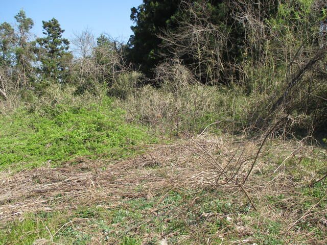 Land for Sale in Ichinoseki, Iwate - 678 sqm - Thumbnail 4