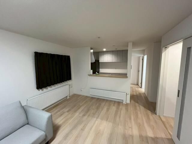 New 4LDK Detached House in Shiroishi Ward, Sapporo, Hokkaido - Thumbnail 4