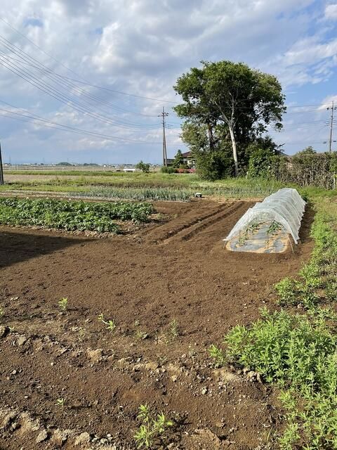 Land for Sale in Konosu, Saitama - 214.8 sqm Plot - Thumbnail 3