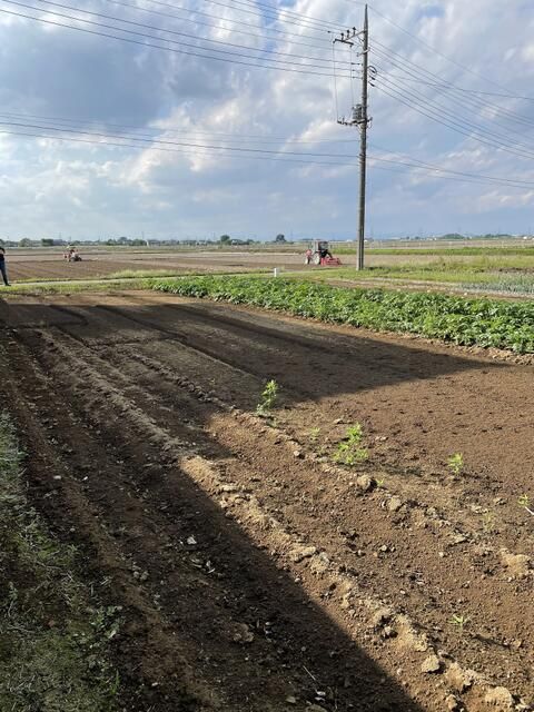 Land for Sale in Konosu, Saitama - 214.8 sqm Plot - Thumbnail 4