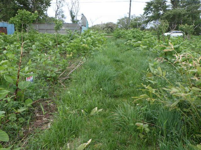 544 sqm Land for Sale in Higashi-ku, Sapporo - Thumbnail 2