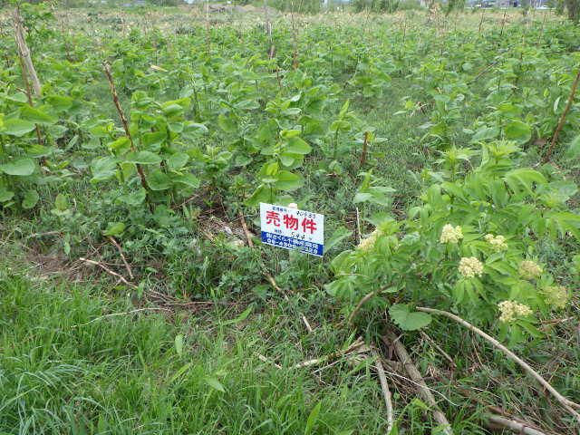 544 sqm Land for Sale in Higashi-ku, Sapporo - Thumbnail 4