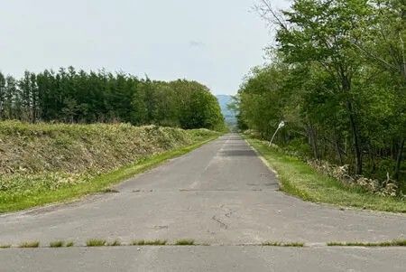 Secluded 1142 Tsubo Forest Land in Teshikaga, Hokkaido - Thumbnail 3