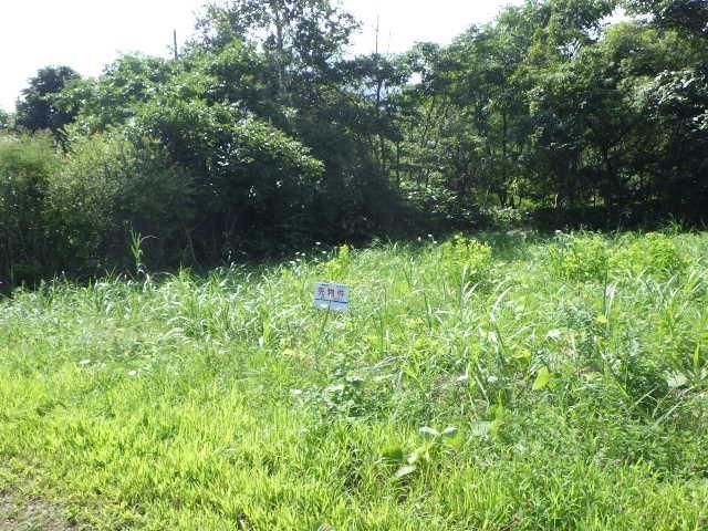 Land for Sale in Nanae Town, Hokkaido - 293 sqm Vacant Plot - Thumbnail 2