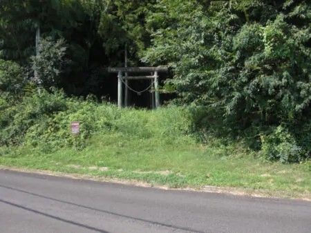 Shrine-Adjacent Land for Sale in Nasu, Tochigi - 3030 Tsubo - Thumbnail 4