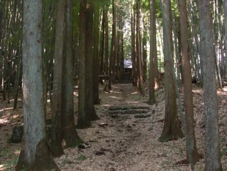 Shrine-Adjacent Land for Sale in Nasu, Tochigi - 3030 Tsubo - Thumbnail 2