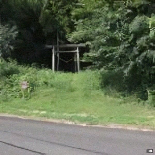 Shrine-Adjacent Land for Sale in Nasu, Tochigi - 3030 Tsubo - Thumbnail 3