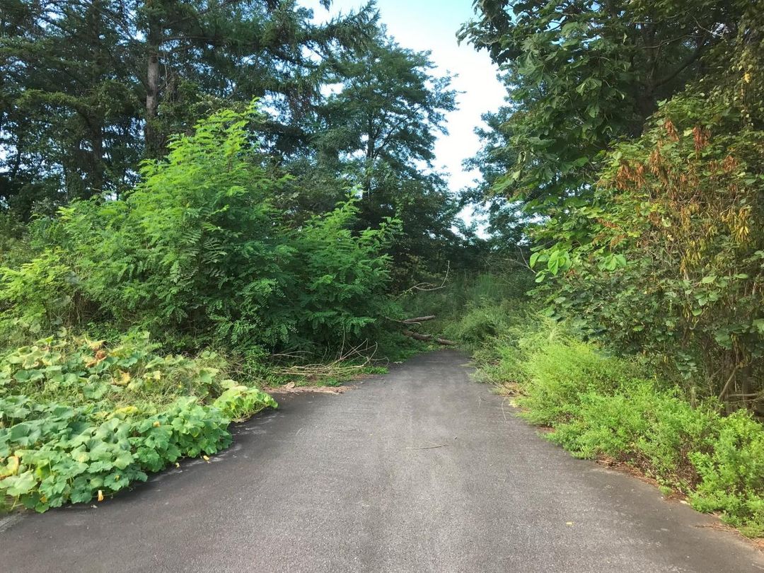 733 sqm Vacant Land for Sale in Hirosaki, Aomori - Thumbnail 3