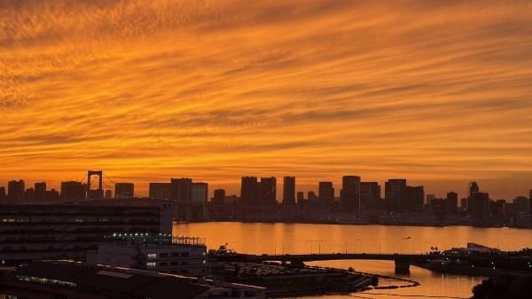 3LDK Condo in BRILLIARE MARE Ariake Tower, Tokyo - Thumbnail 4