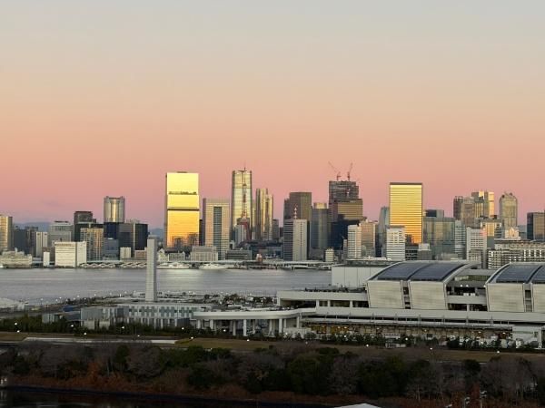 3LDK Condo in BRILLIARE MARE Ariake Tower, Tokyo - Thumbnail 3