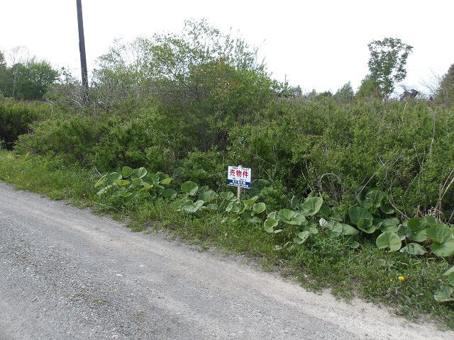 330 sqm Land for Sale in Tomakomai, Hokkaido - Thumbnail 4