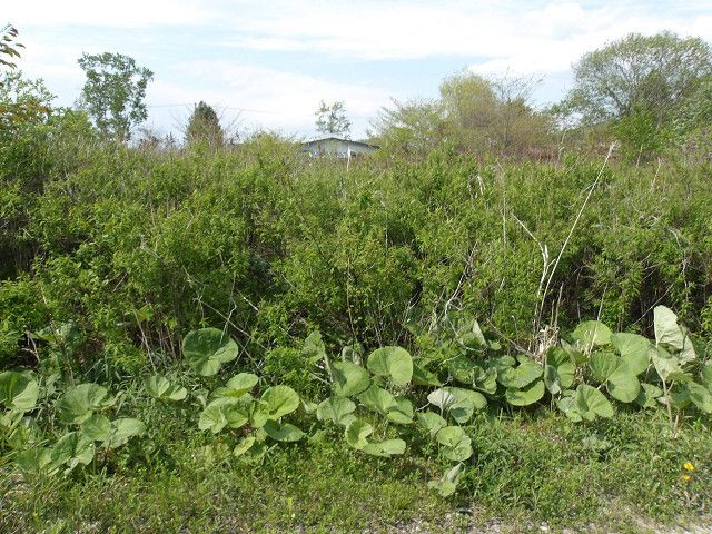 330 sqm Land for Sale in Tomakomai, Hokkaido - Thumbnail 3