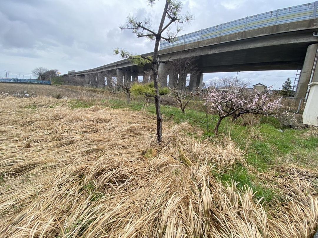 Agricultural Land for Sale in Niigata's Akiha Ward - Development Potential - Thumbnail 4