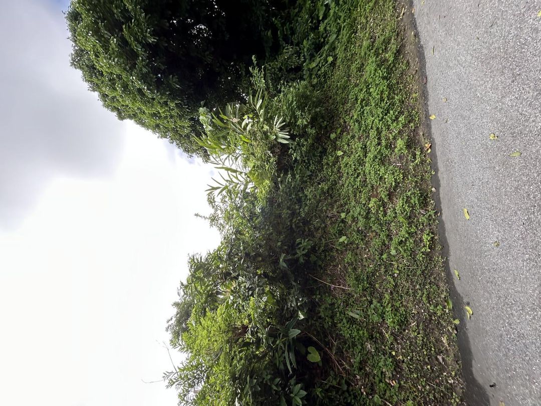 479 sqm Residential Development Land for Sale in Naha, Okinawa - Thumbnail 4