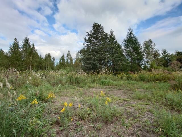 90,373 sqm Business Development Land for Sale in Eniwa, Hokkaido - Thumbnail 4