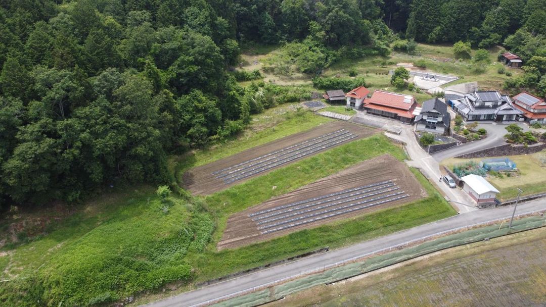 1950 Wooden House with Land in Sera, Hiroshima for Sale - Image 11